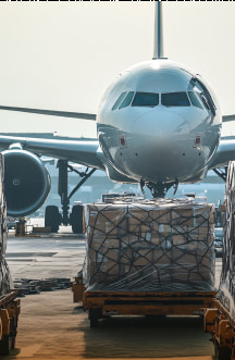 IT Professional Services